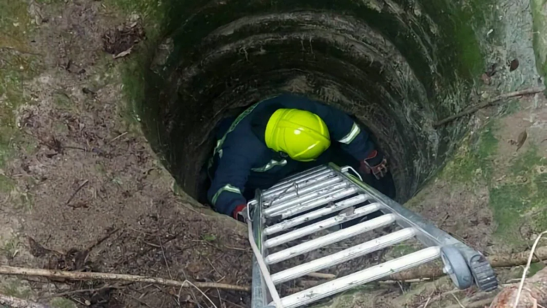 Larisa: Vatrogasci spasili psa koji je pao u bunar dubine sedam metara u blizini sela Krannonas