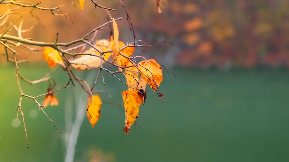 Oktobar donosi oštre temperaturne promene