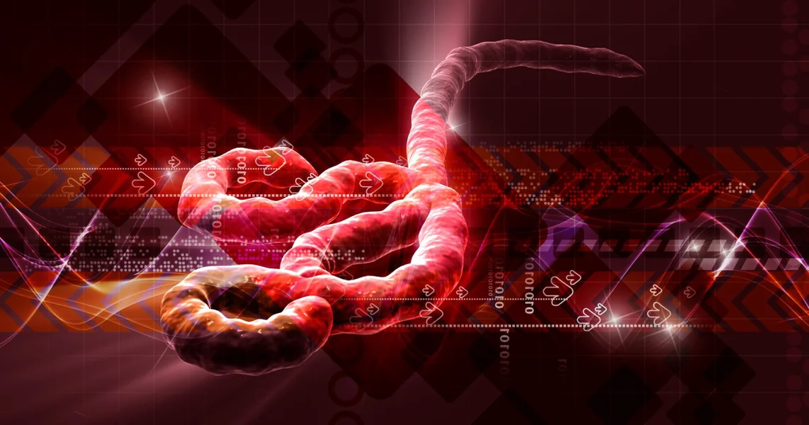 Gde se skrivaju virusi kada se epidemija završi? Misterija prirodnog rezervoara jednog od najopasnijih virusa na svetu
