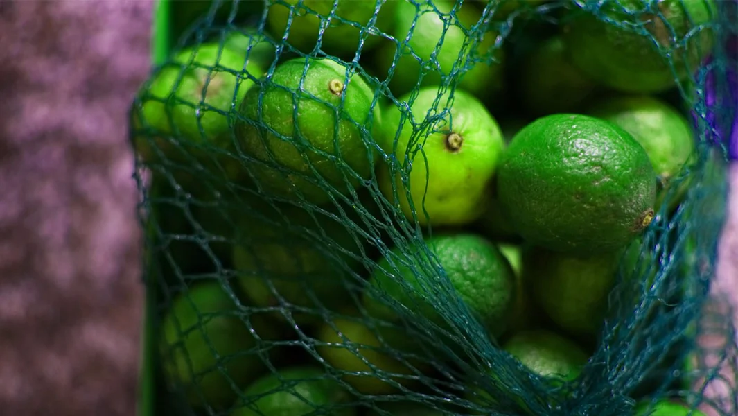 Mercosur: Toksična proizvodi iz Latinske Amerike na našem tanjiru - Documento