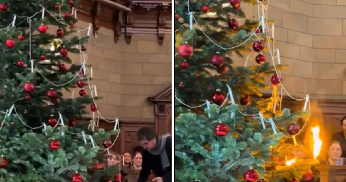 VIDEO Svi su mislili da će drvce planuti, a onda se dogodilo nešto nevjerovatno