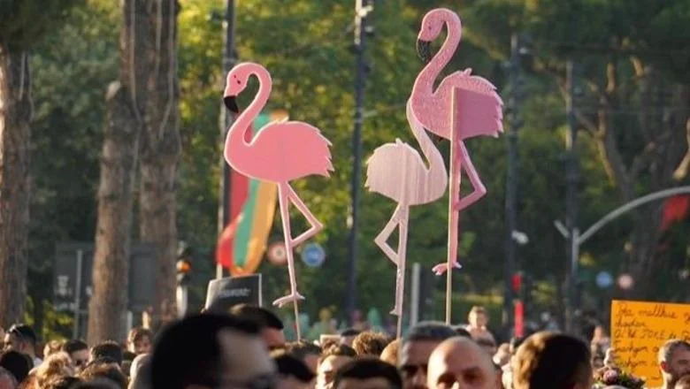 Ylli Pata: Zašto preostali flamingosi pokvare koncerte?