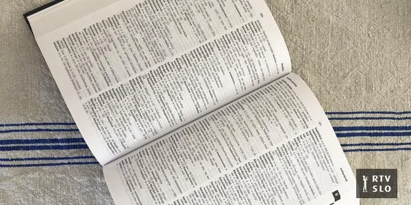 Spor oko Pravopisa 8.0: Ko će imati poslednju reč pre izdavanja?