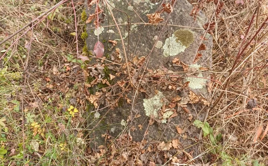 Fondacija Bassania: "Potpuno uništen nacionalni spomenik BiH, devastirane tri nekropole stećaka"