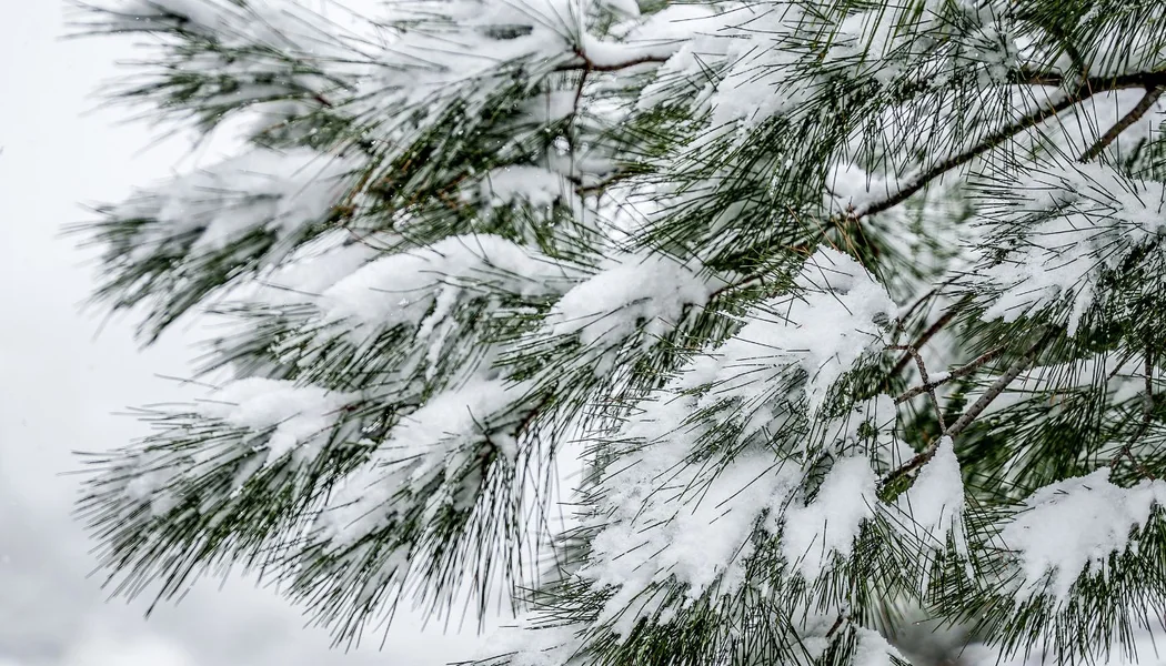 Vreme: «Narandžasti» upozorenje na hladnoću – Gde će poslepodne padati sneg