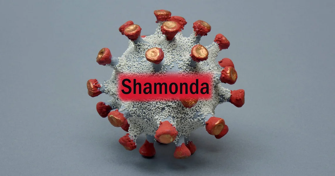 Virus Shamonda, povezan sa farmama životinja, prvi put otkriven kod čoveka u Francuskoj