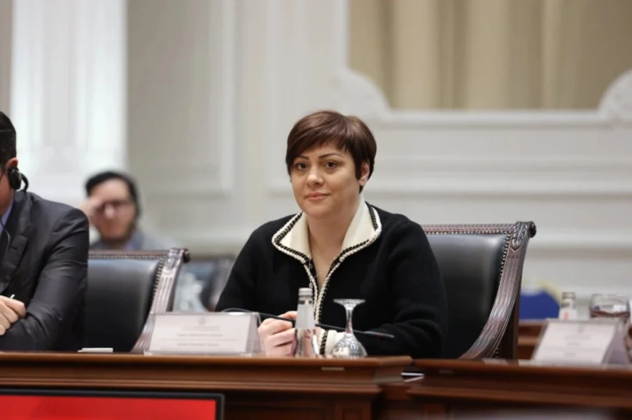 Gordana Dimitrieska Kochoska: Mi smo jedina država koja od momenta kada je uvela Drugi penzijski stub nije napravila nikakvu promenu - Nova Makedonija