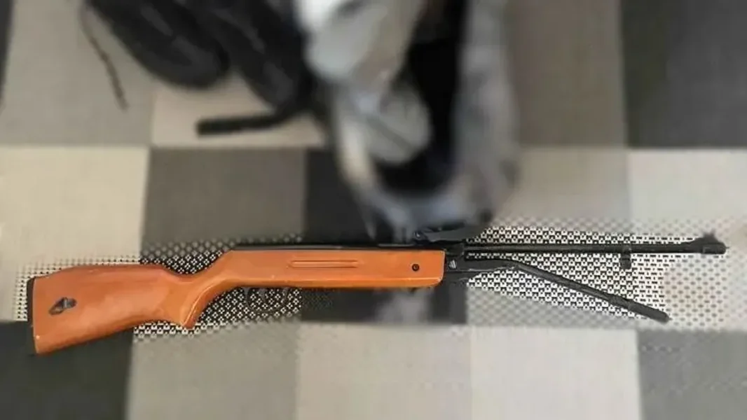 Devetogodišnji dečak namerno je upucao leđa svog šestogodišnjeg brata u Nagycserkeszu - ORIGO