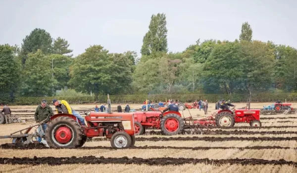 Državna pomoć koju će rumunski poljoprivrednici primiti putem APIA krajem godine