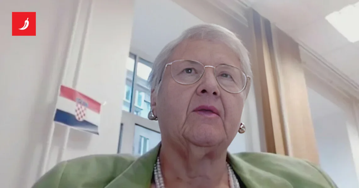 Hrvatska veleposlanica u Ukrajini: U Kijevu nema javne rasvjete. To je Rusiji i cilj