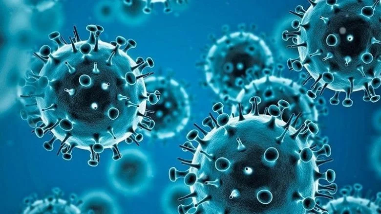 Ljudsko ponašanje koje se nije pretvorilo u naslov