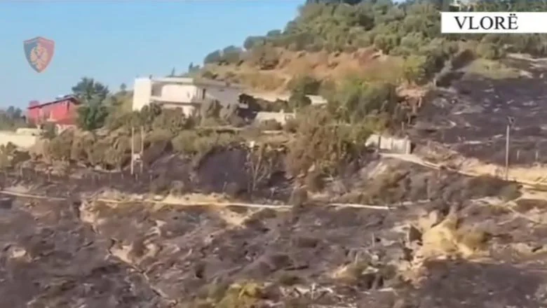 Upalio je vatru u dvorištu, plamenovi su se proširili i ugrozili kuće komšija, uhapšen je 60-godišnjak u Vlore (VIDEO) - Shqiptarja.com