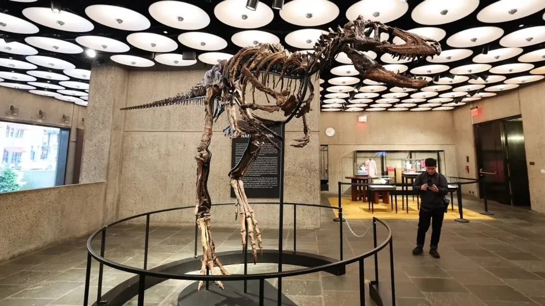 Kostur dinosaura može da vredi do 3 milijarde forinti, otkriveno da nije T. rex - ORIGO