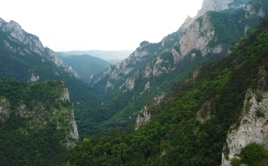 Najmističnija šuma Evrope nalazi se u Bosni i Hercegovini: U nju se ne može ući tek tako