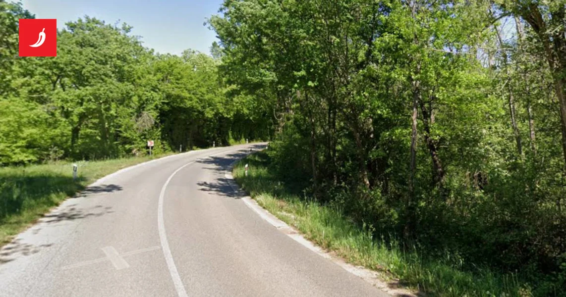 Teška saobraćajna nesreća u Istri: Vozač preminuo na licu mjesta, dijete teško povređeno