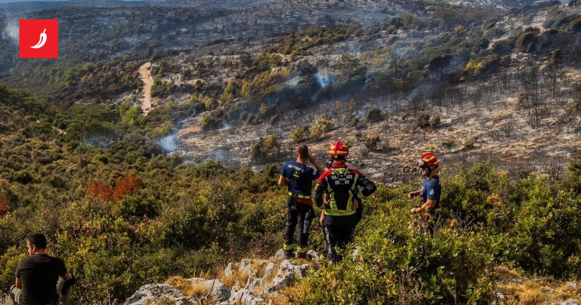Konačno lokalizovan veliki požar na Braču