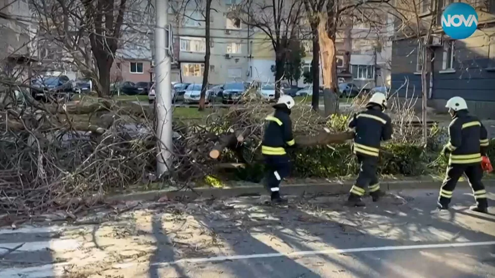 Burni vetar u Plovdivu: Nad 90 signala za ozbiljne materijalne štete i potrošene automobile