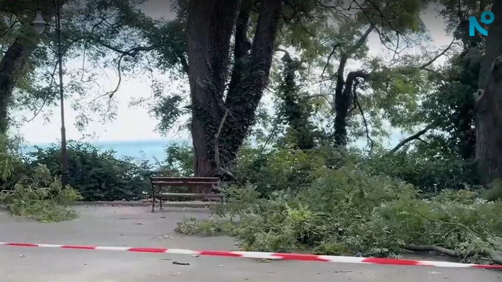 Opština Varna posle incidenta u Morskoj gradini: Ne može se predvideti padanje zelenih grana