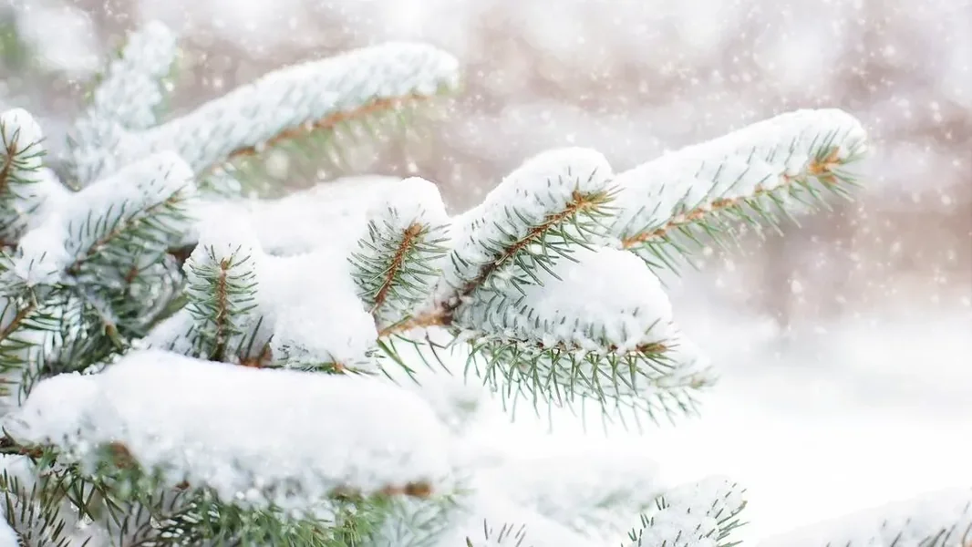 Temperatura pada do minus 20 stepeni! Višednevni sneg i smrznuta kiša stižu