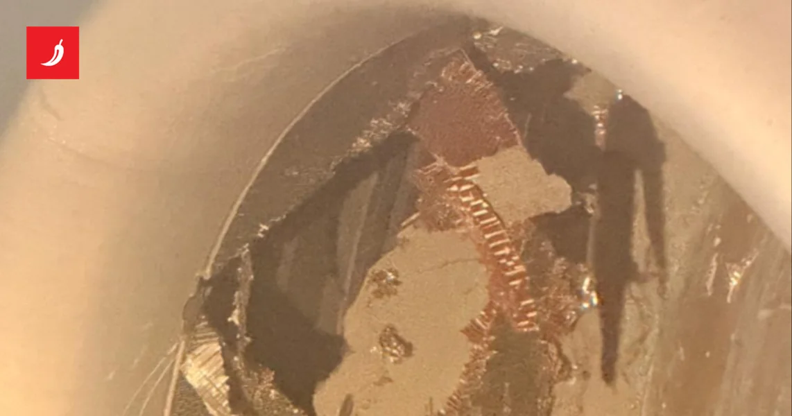 VIDEO Motor aviona Air India usisao kontejner