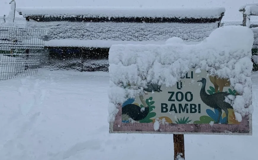 Do ZOO Bambi se trenutno može doći samo pješke: "Kilometar hoda, minus i skoro pola metra snijega"