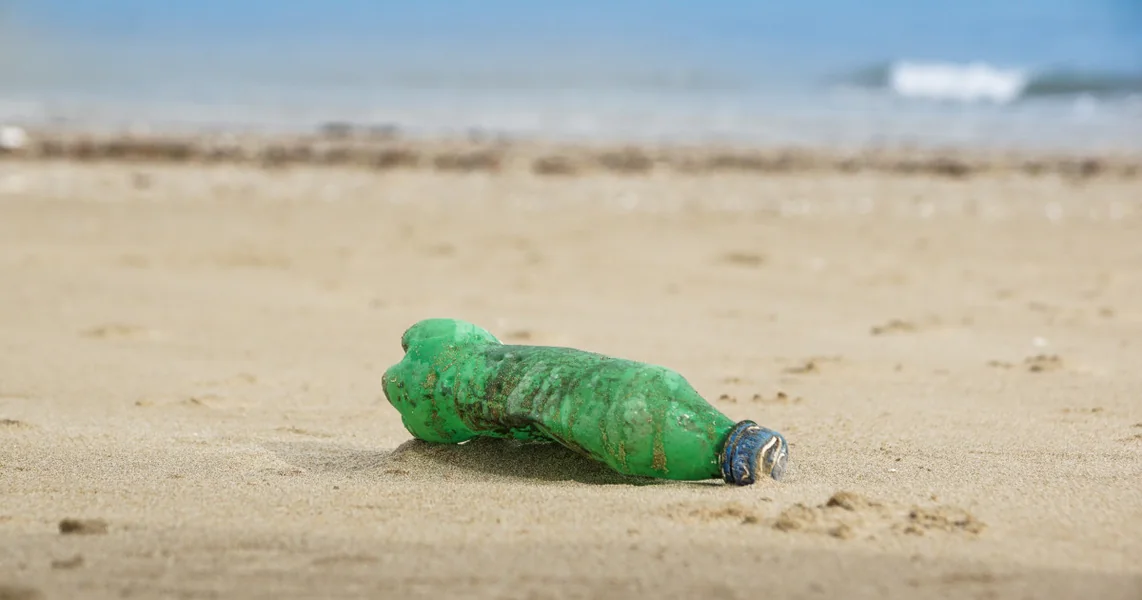Istraživači upozoravaju: riba sa mikroplastikom na romunskom stolu. Crnog mora masovno zagađeno.