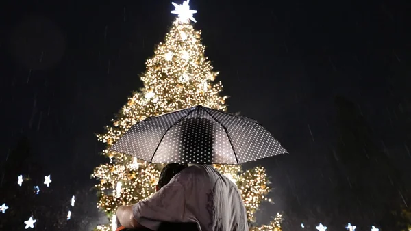 Vreme: Gde će padati kiša za Božić - Analitična prognoza do nedelje - Documento