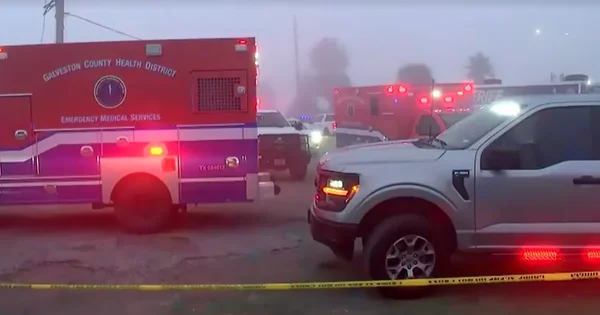 Pet osoba poginulo: Srušio se avion meksičke mornarice, jedna osoba nestala