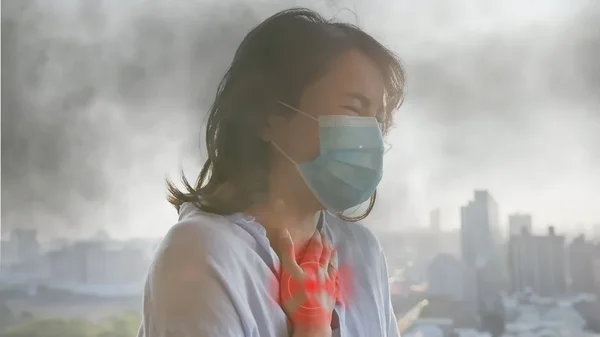 Problemi i posledice: Kako zagađen vazduh šteti organizmu