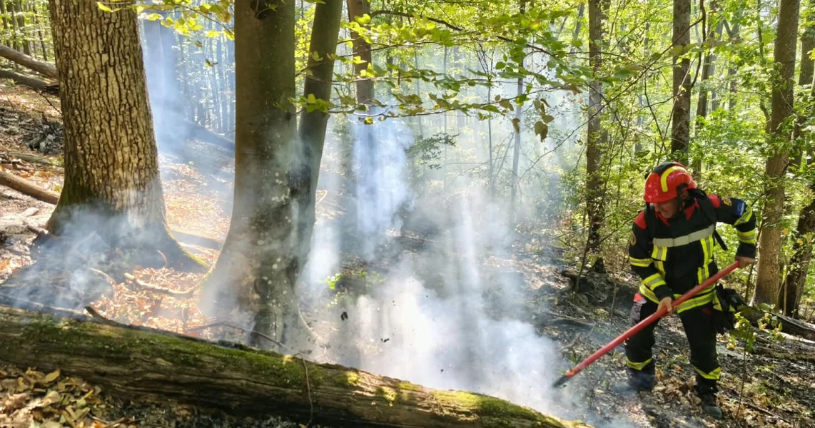 Požari vegetacije u Karaš-Severinu i Valcei. Tri helikoptera Black Hawk intervinišu u Baile Herculane