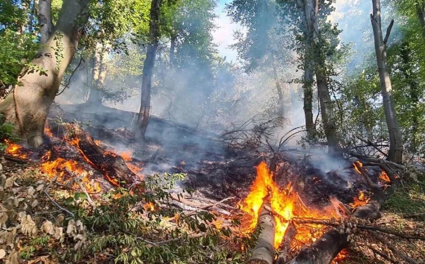 Tuzla: Jedna osoba smrtno stradala u požaru niskog rastinja, njen identitet još nije utvrđen