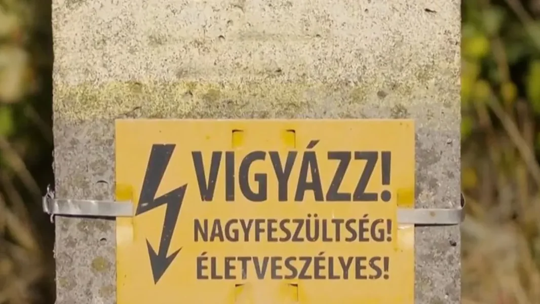 Električni udar tokom berbe žira usmrtio oca sa osmero dece u Đandu - video - ORIGO