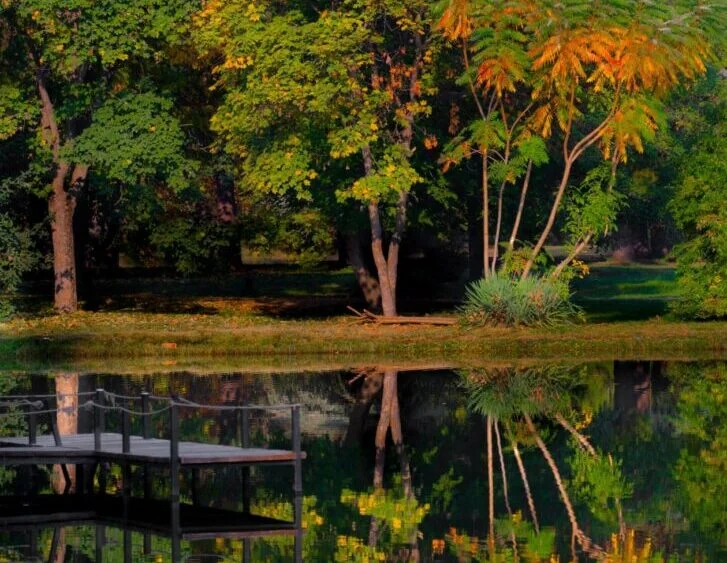 Hladno jutro, sunčan dan – temperatura do 12 stepeni - Nova Makedonija