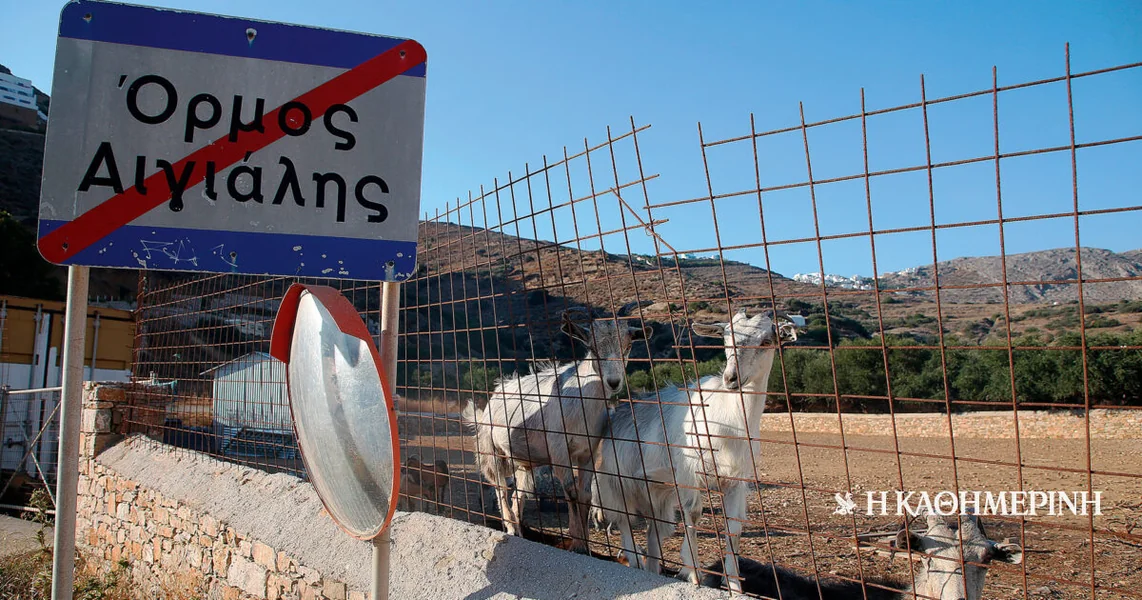 Mnogo malih riba OPEKEPE