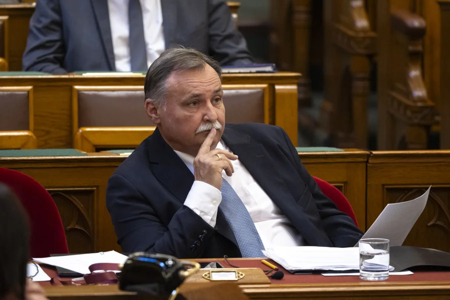 Tužno je što je Gajdos popustio, pa se masovna seča šuma u Mađarskoj može nastaviti.