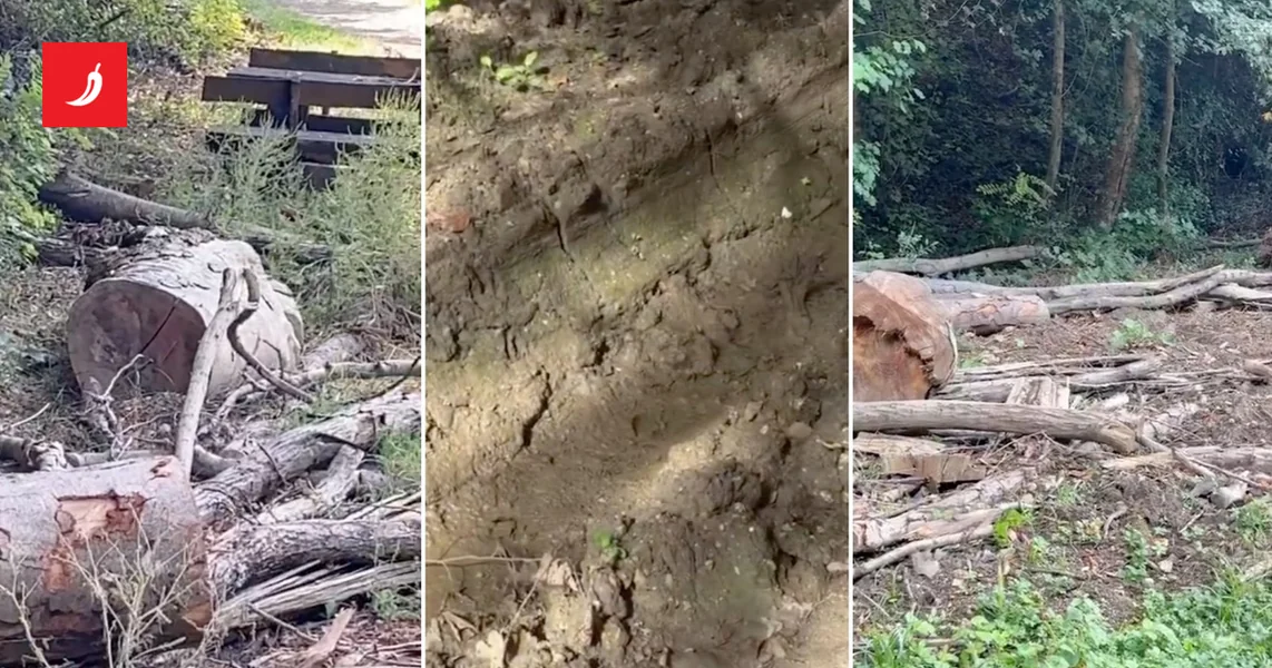 VIDEO Pogledajte na šta liči omiljeno izletište u Zagrebu: 'Dobili smo ruglo'