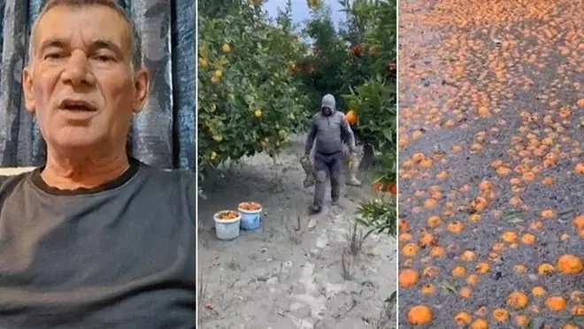 Poplave u Fieru i Beratu / Farmeri za Report TV: 80 miliona lekë štete! Pogodilo mi je 1,5 ha jagoda, ostavljeni smo sami