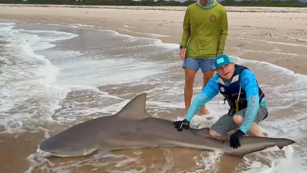 Uhvatio je ogromnu ajkulu, a mađarski ribolovac završio u bolnici – video