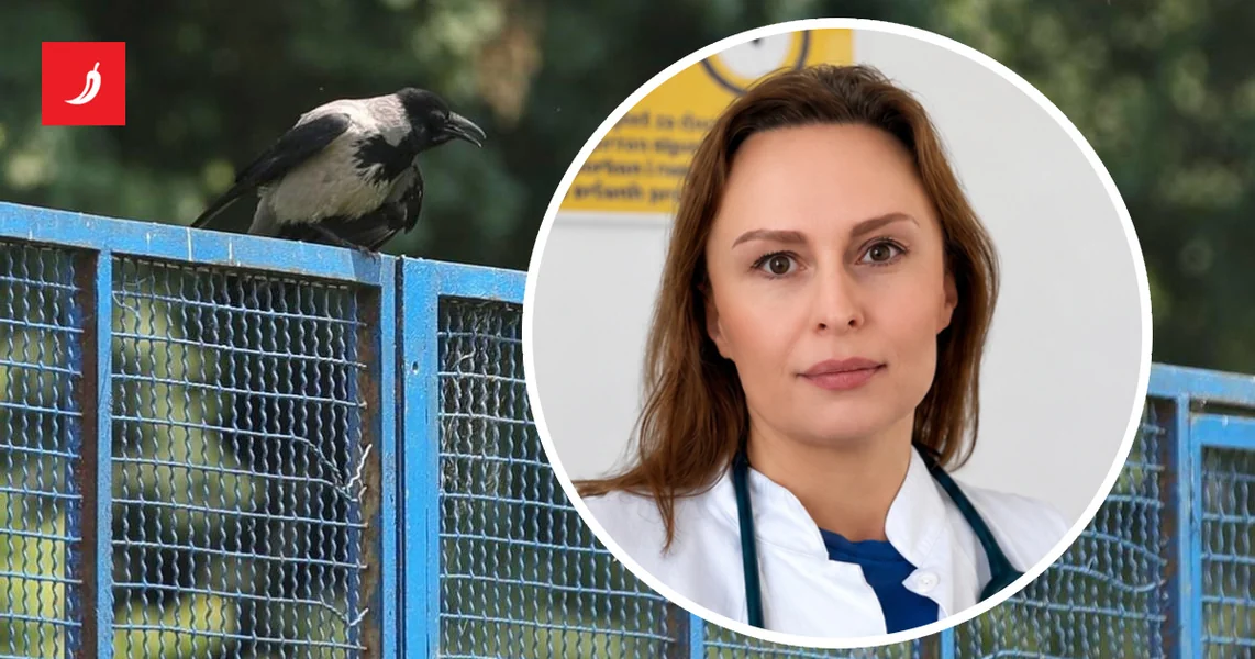 Ona je u Zagrebu lečila obolele od virusa Zapadnog Nila: 'Pomalo je zastrašujuće'
