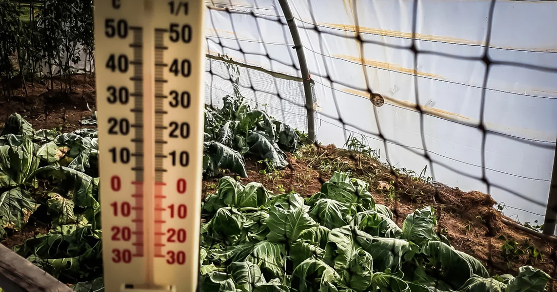 Udar na poljoprivrednike usled mraza koji je zahvatio Rumuniju: dupli troškovi grejanja staklenika